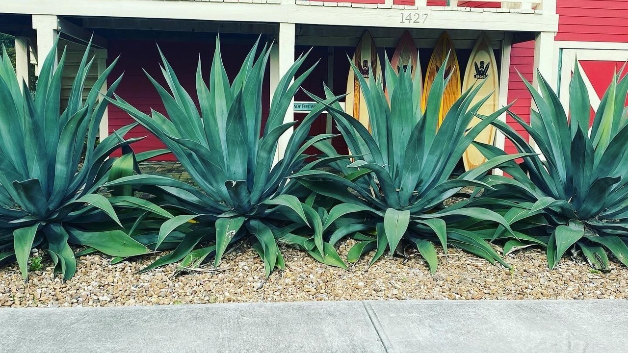 Photo of Outdoor in San Jacinto