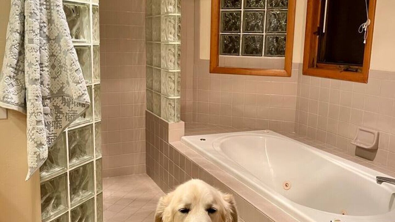 Photo of Bathroom in Durango