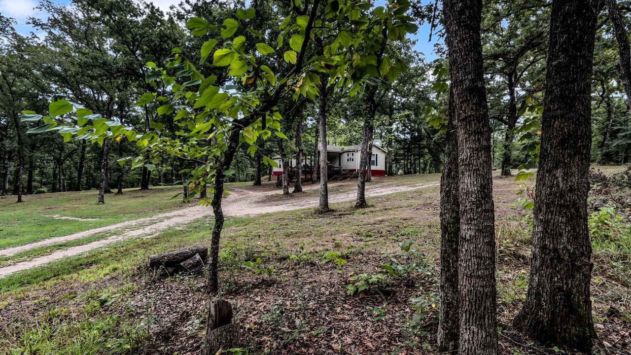 Photo of Outdoor in Kingston