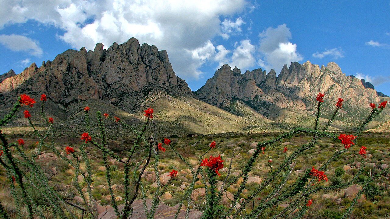 Photo of Outdoor in Mesilla Park