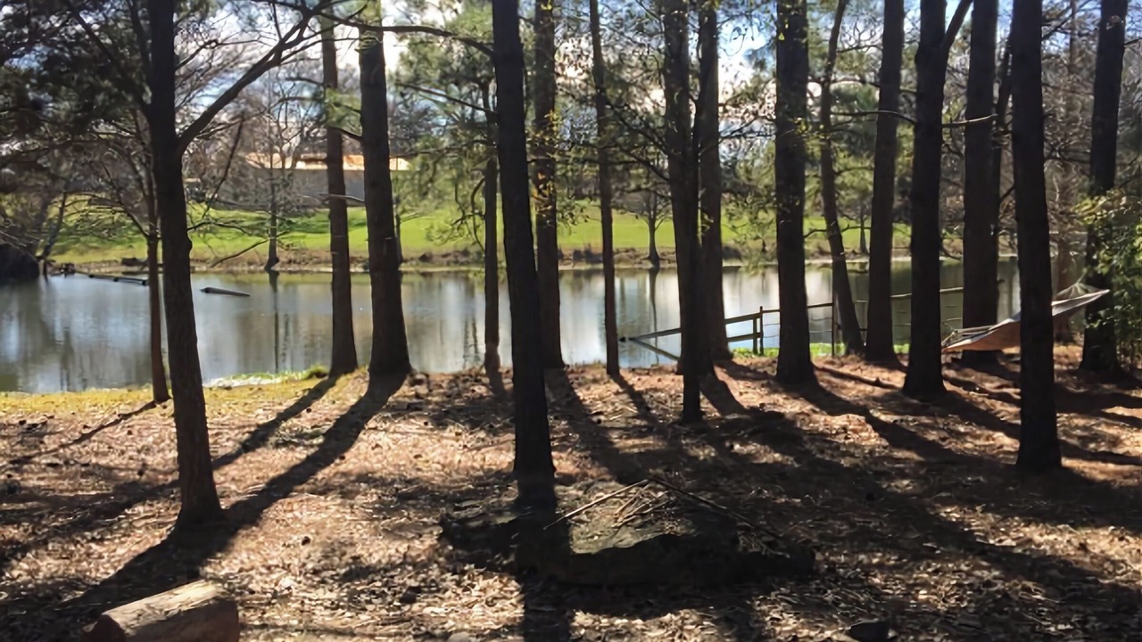 Photo of Outdoor in Eustace