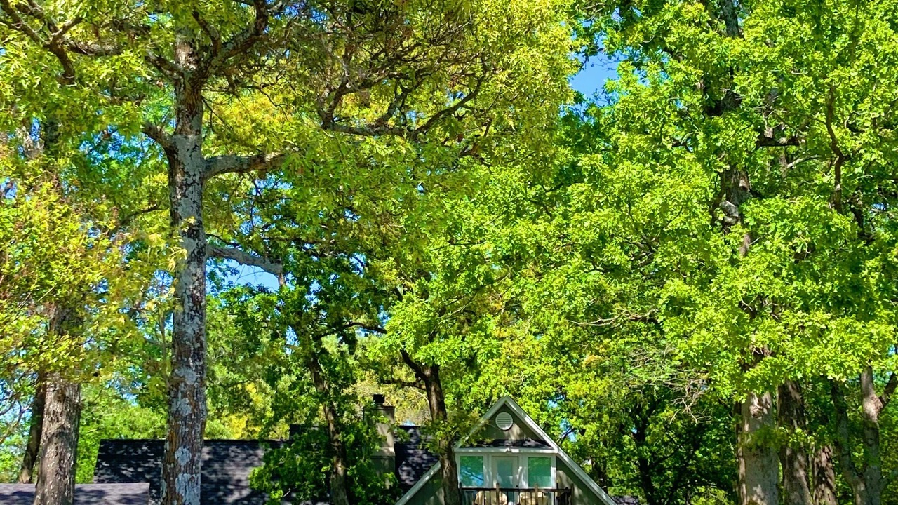 Photo of Outdoor in Cherokee County