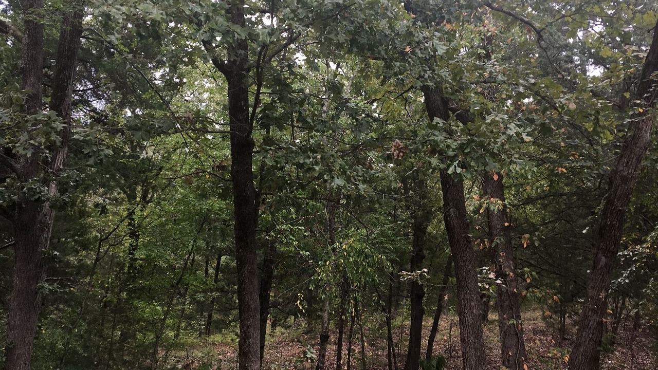 Photo of Outdoor in Canton