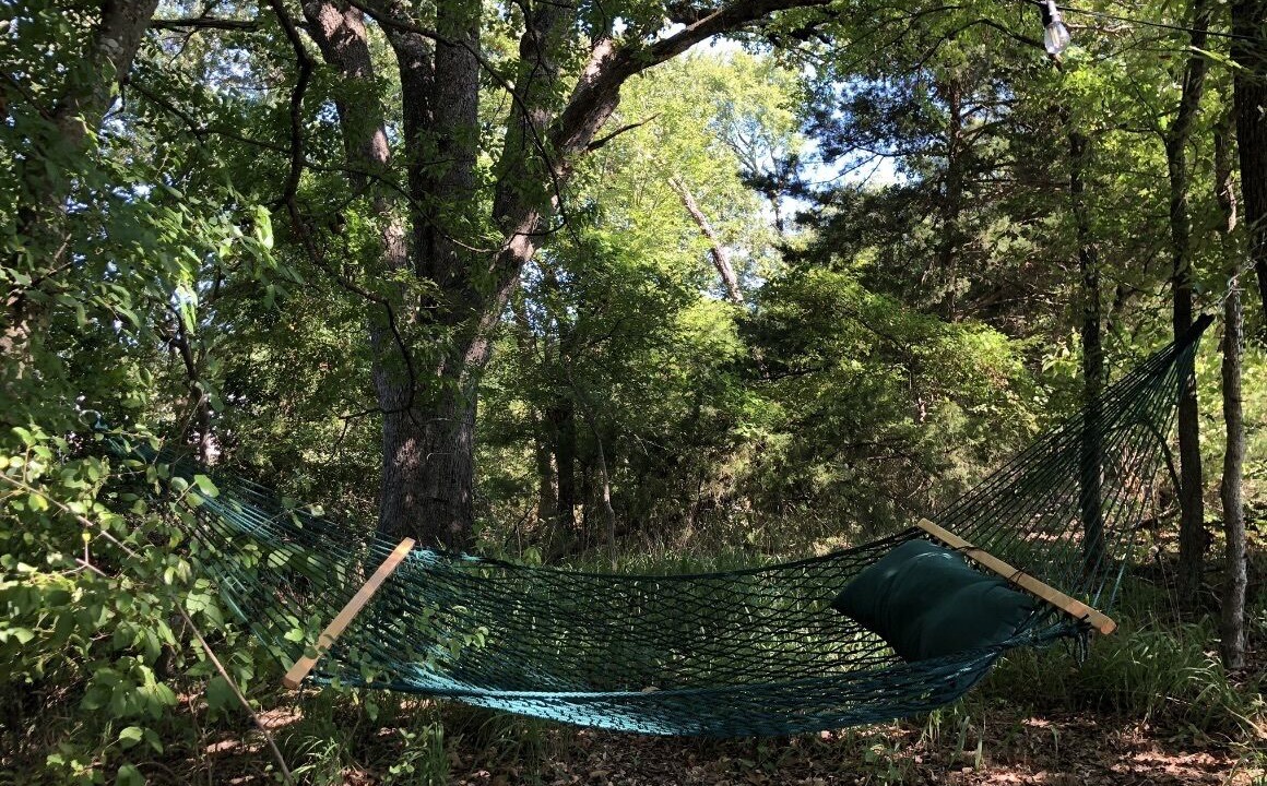 Photo of Outdoor in Emory