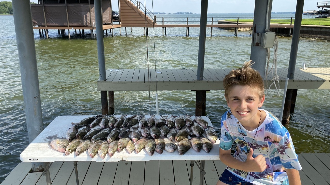 Photo of Others in Star Harbor
