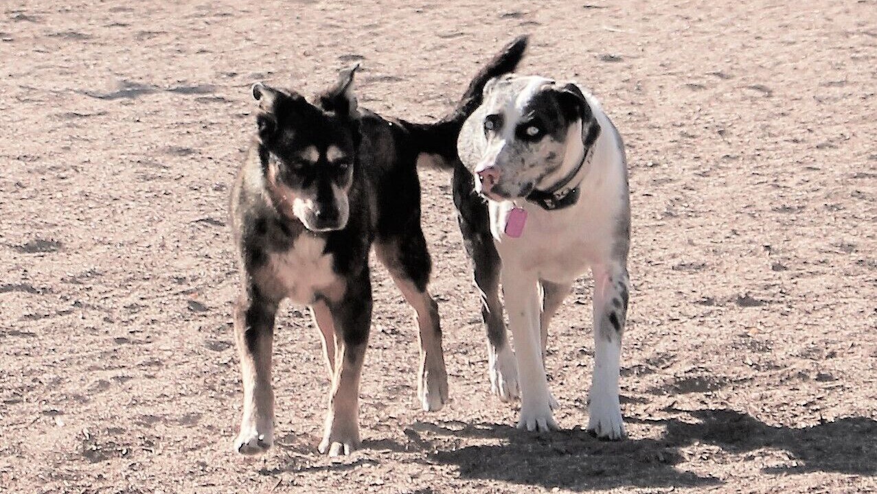 Photo of Others in Sonoita
