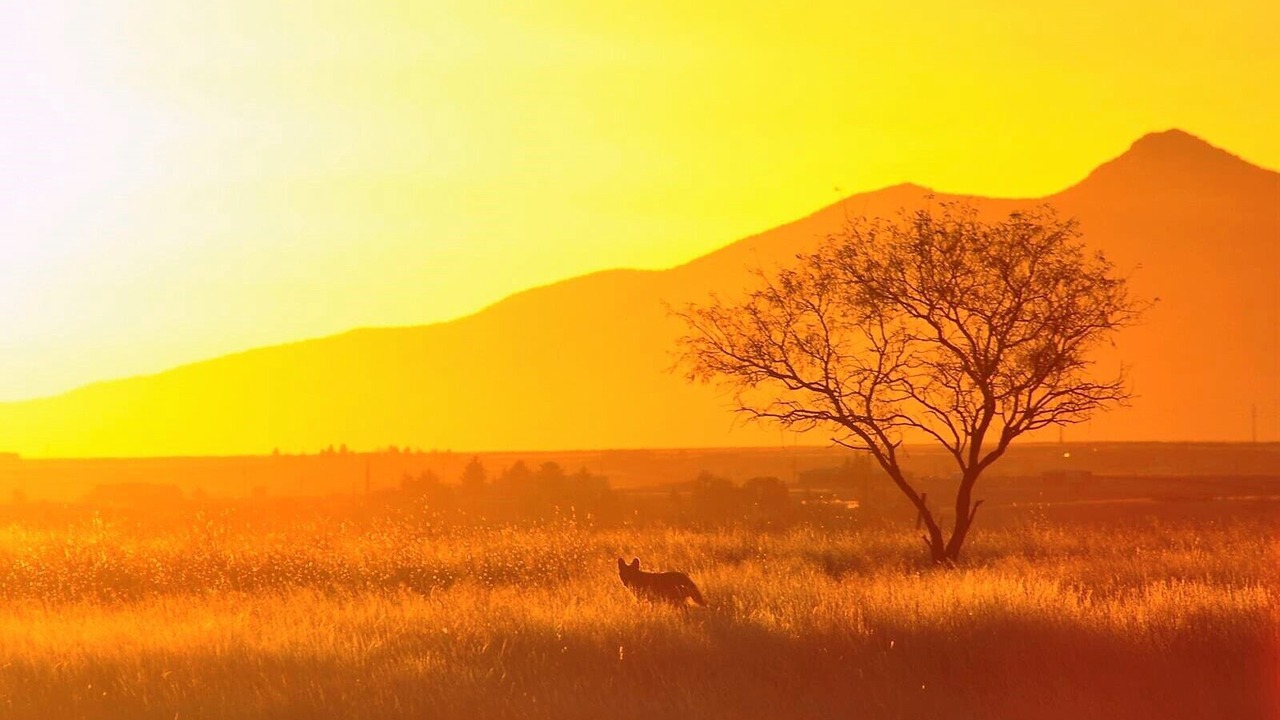 Photo of Others in Sonoita