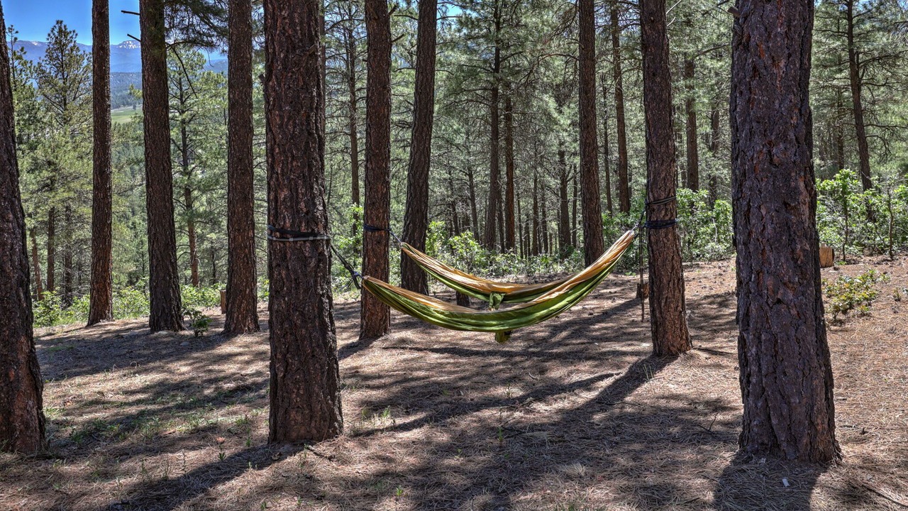 Photo of Others in Pagosa Springs