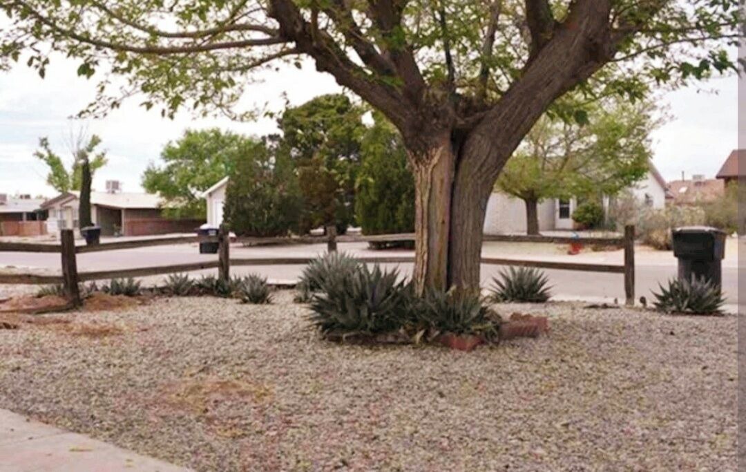 Photo of Outdoor in Alamogordo
