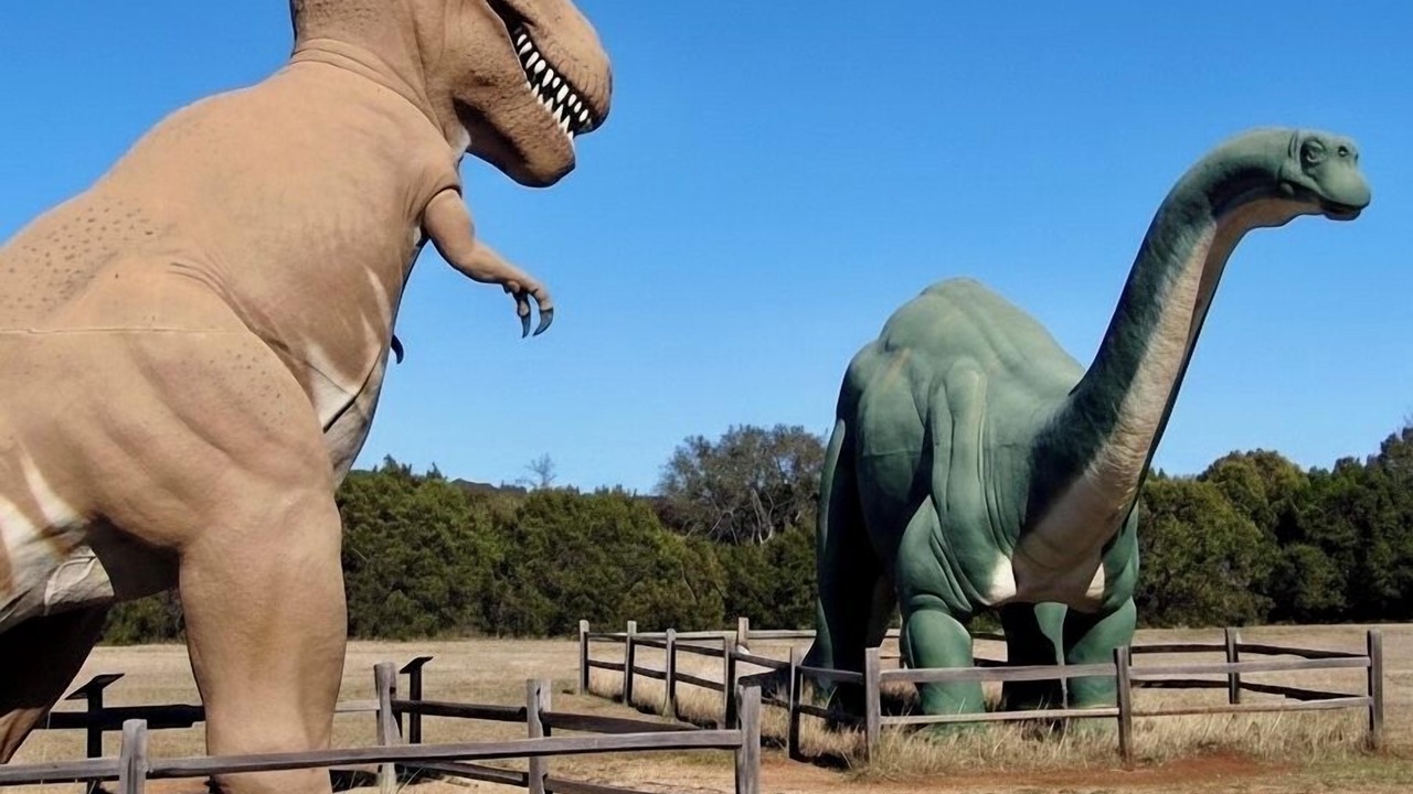 Photo of Others in Granbury