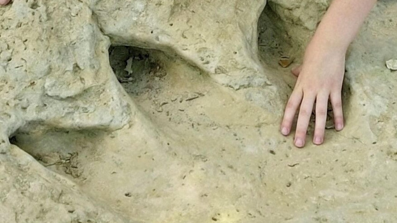 Photo of Others in Granbury