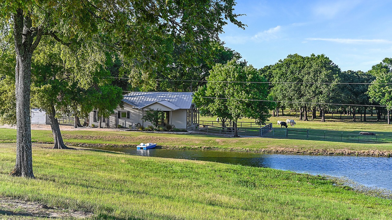 Photo of Outdoor in Navasota