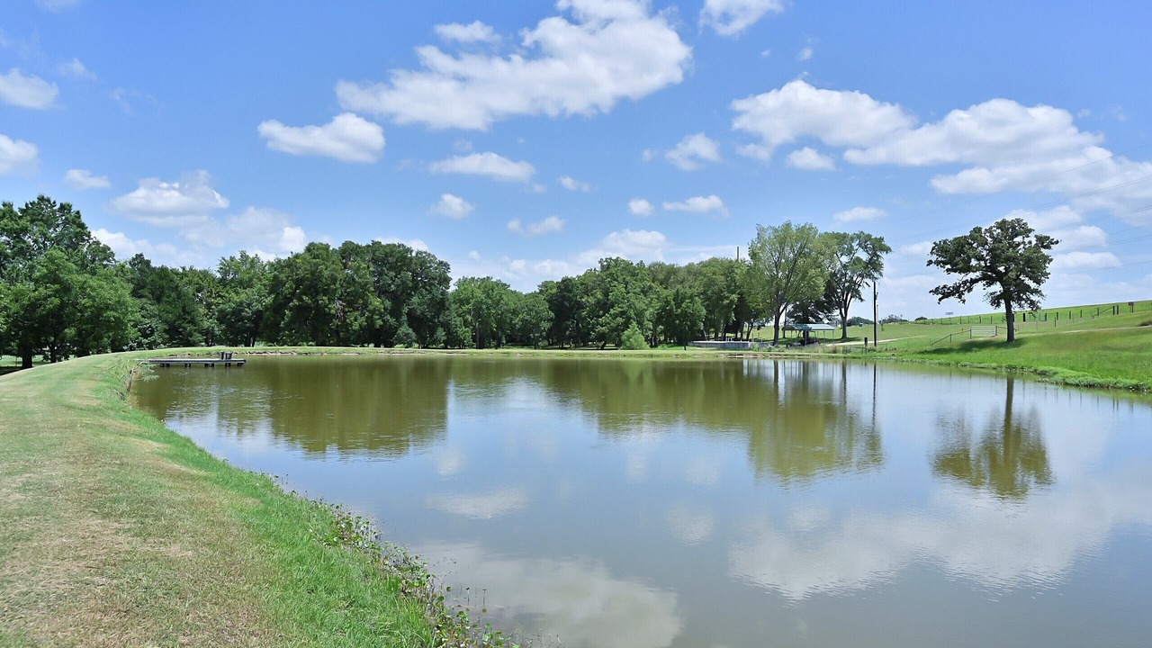 Photo of Outdoor in Navasota