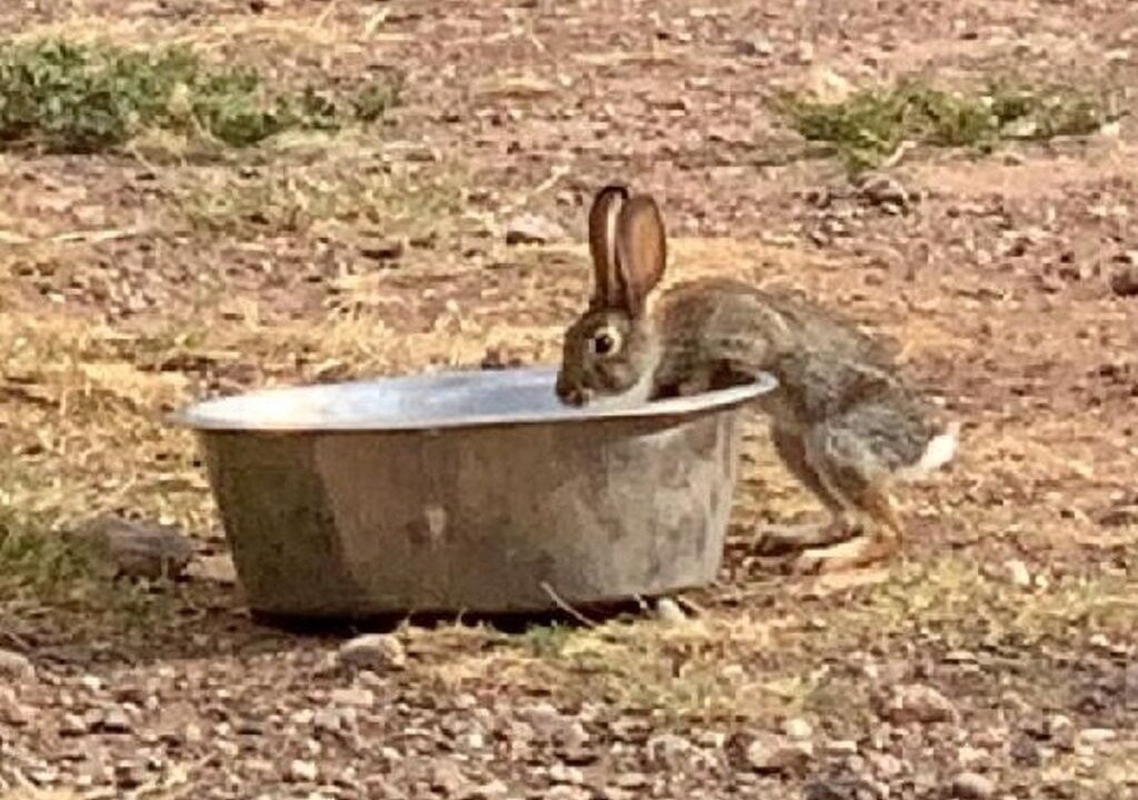 Photo of Outdoor in McNeal
