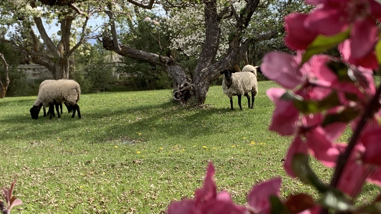 Photo of Outdoor in Arroyo Seco