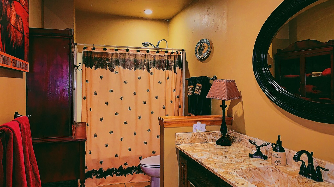 Photo of Bathroom in Alto