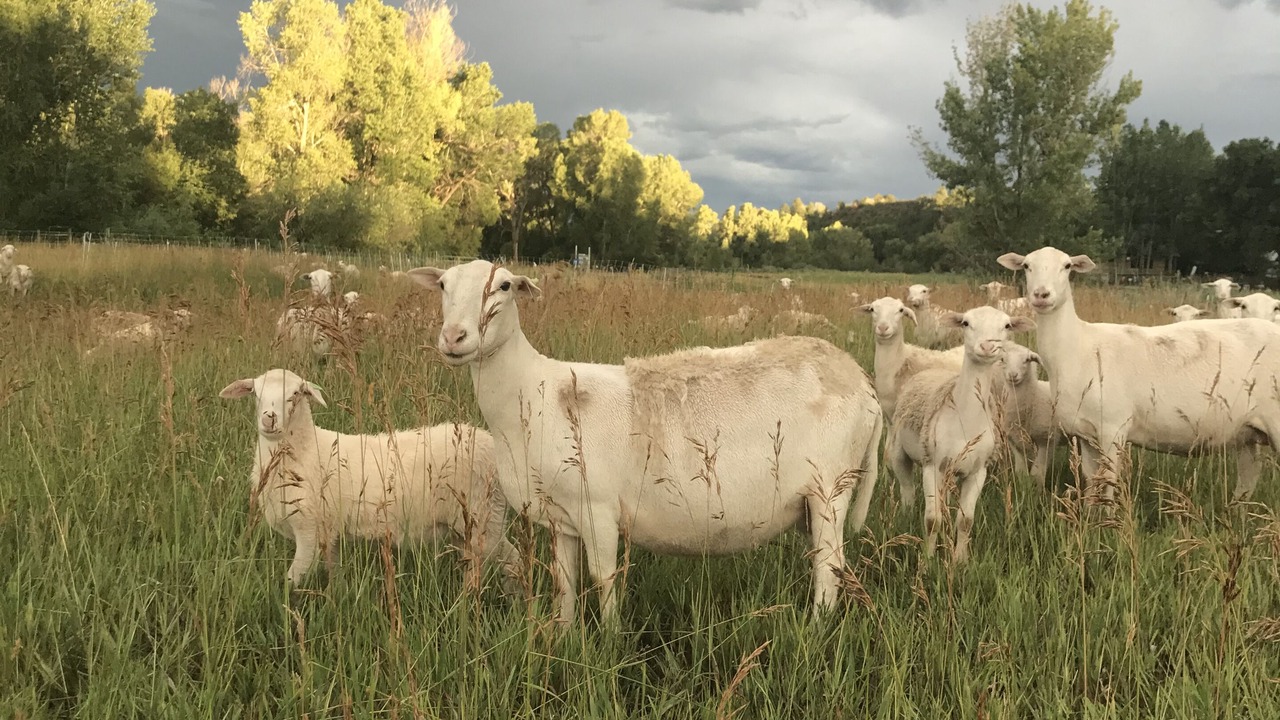 Photo of Outdoor in Durango