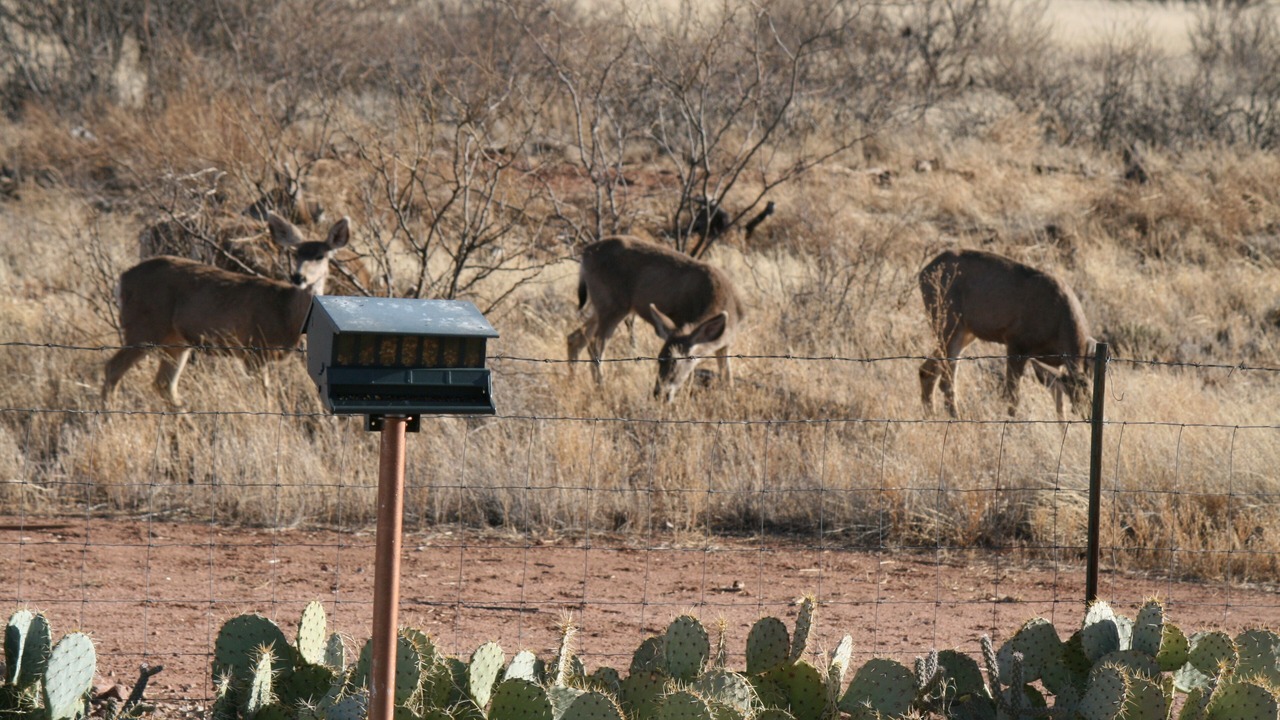 Photo of Others in Pearce