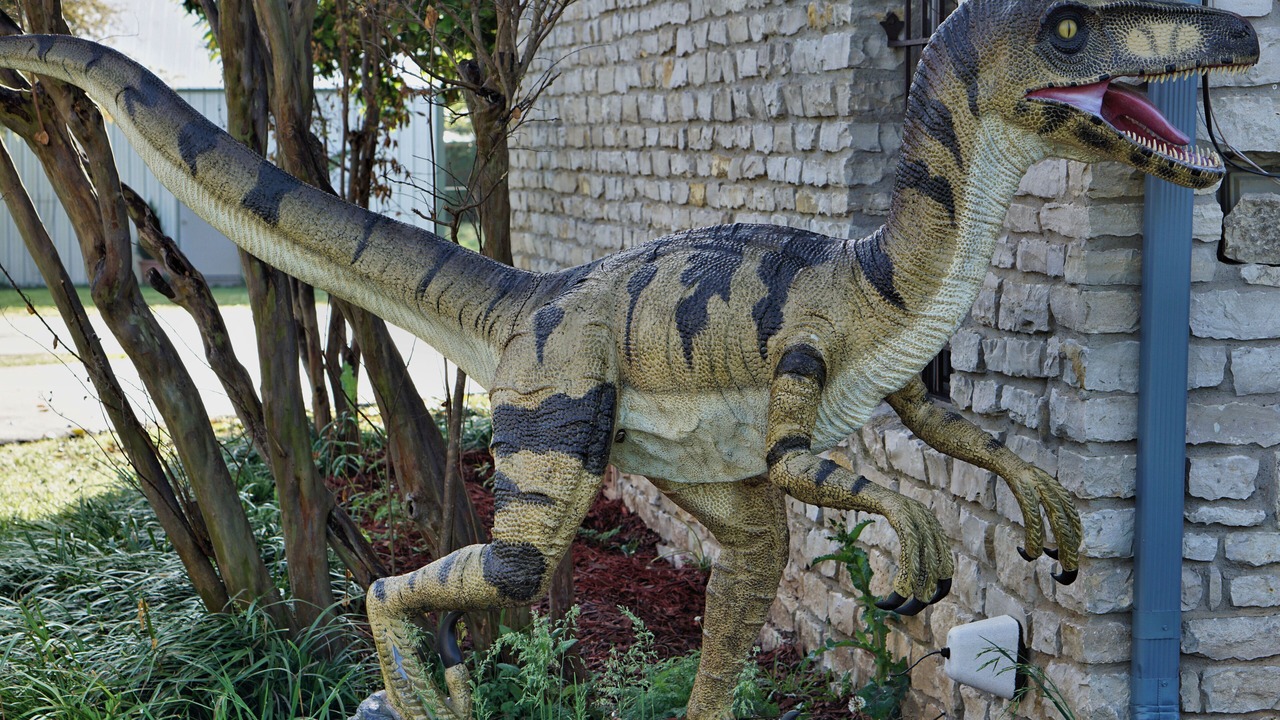 Photo of Outdoor in Glen Rose