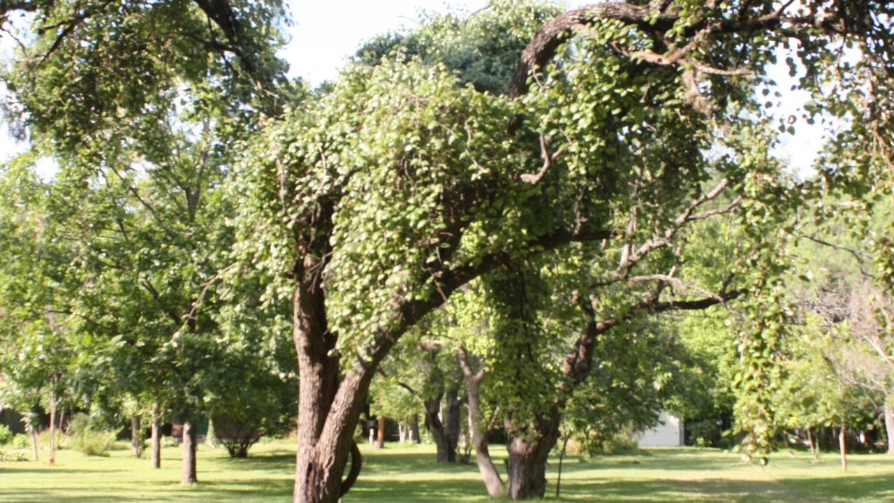 Photo of Others in New Braunfels