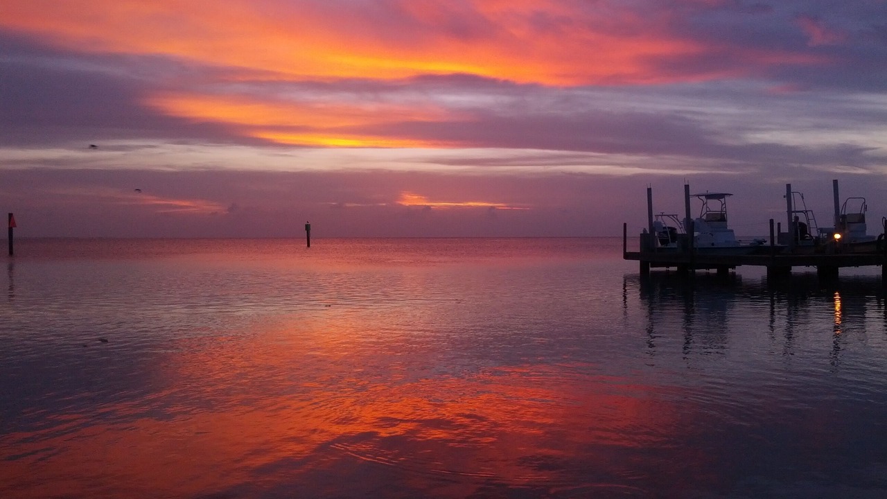Photo of Others in South Padre Island
