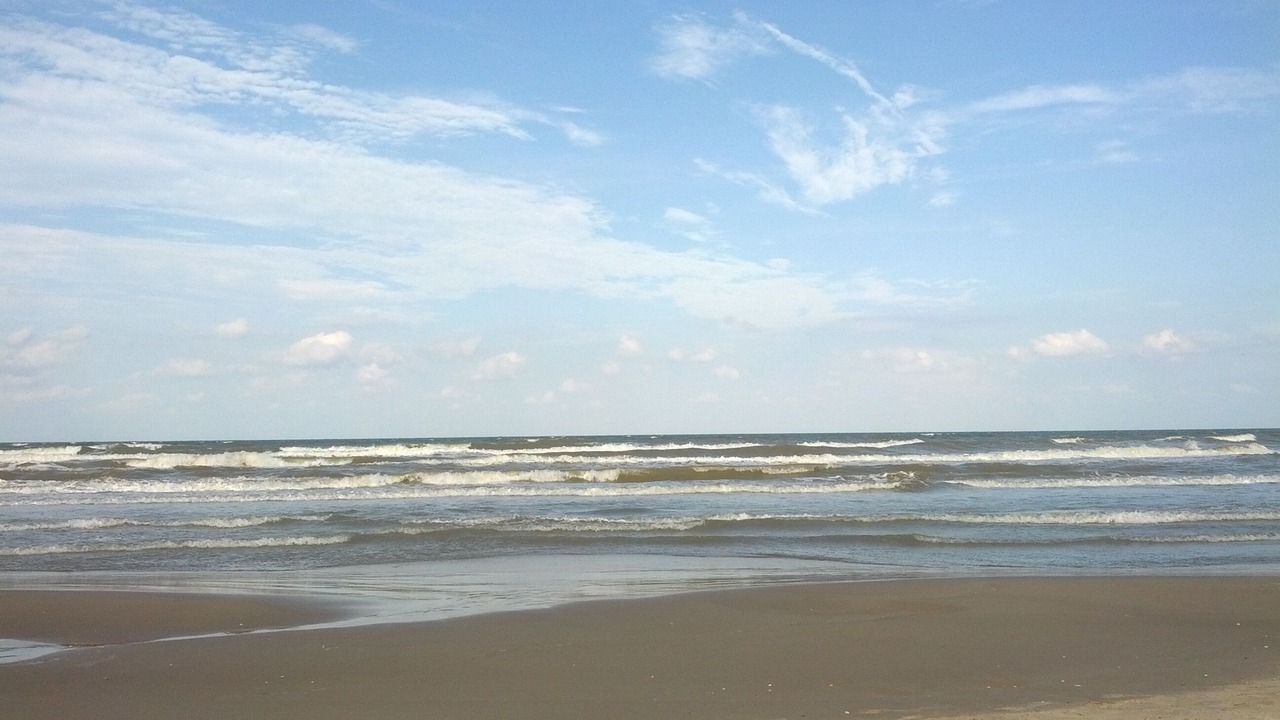 Photo of Others in South Padre Island