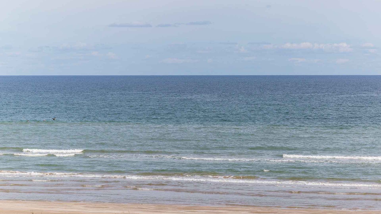 Photo of Others in South Padre Island