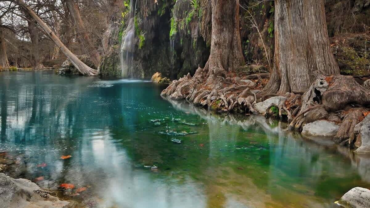Photo of Others in Spicewood
