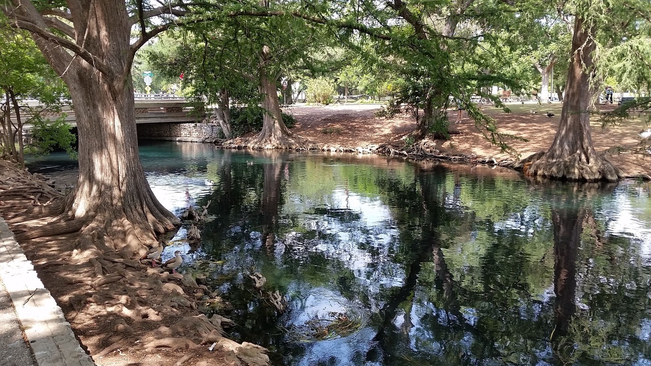 Photo of Others in New Braunfels