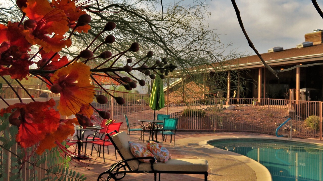 Photo of Outdoor in Saguaro Cerro Estates