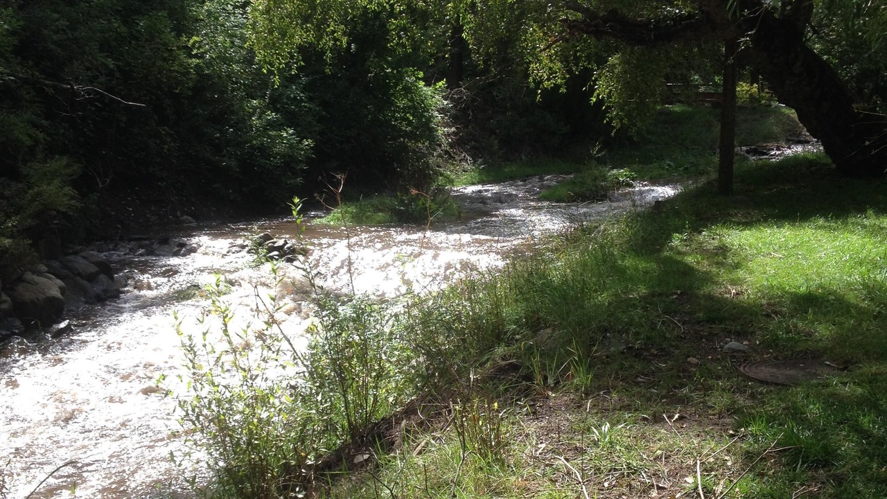 Photo of Others in Ruidoso