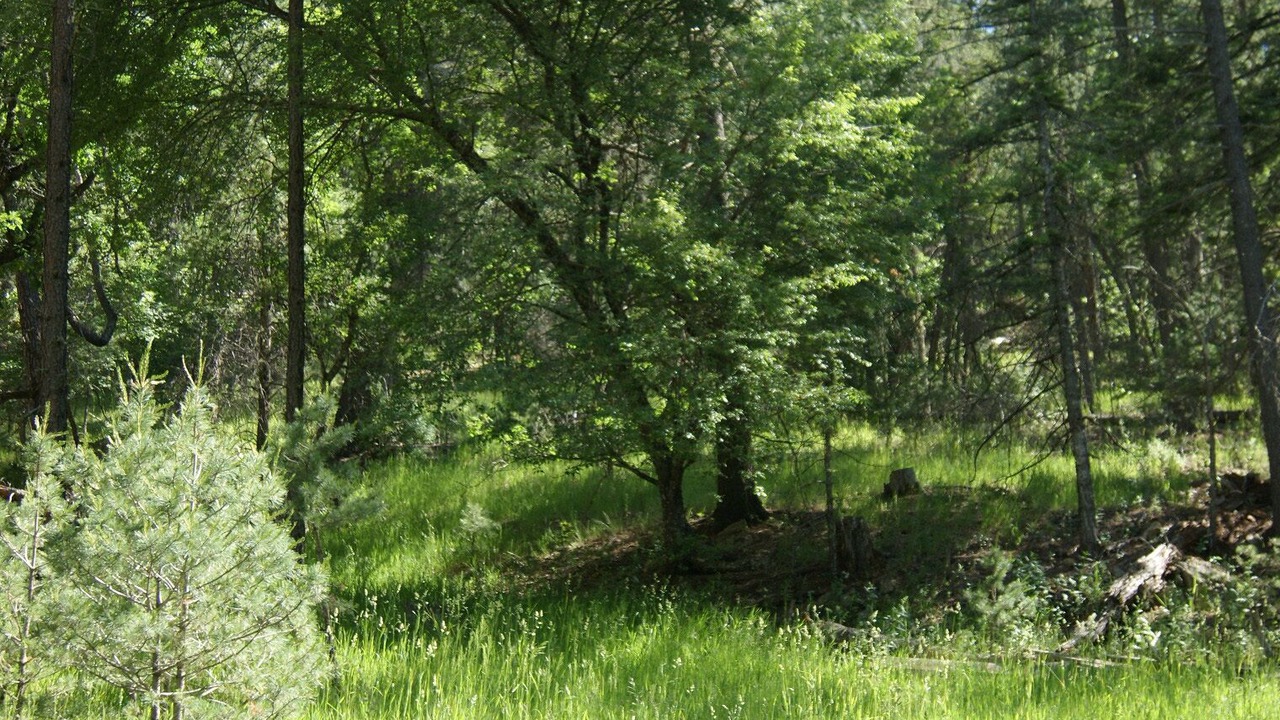 Photo of Outdoor in Mayhill
