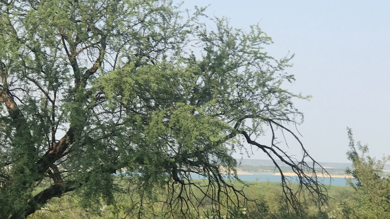 Photo of Outdoor in Amistad National Recreational Area