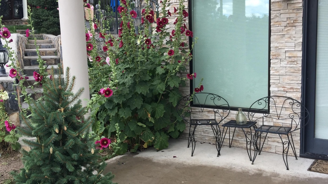 Photo of Patio Balcony in Mimbres
