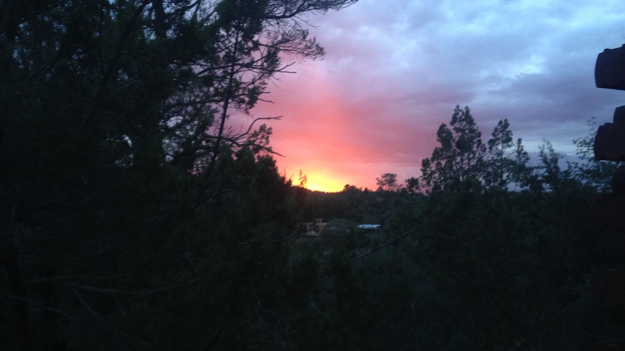 Photo of Outdoor in Mimbres