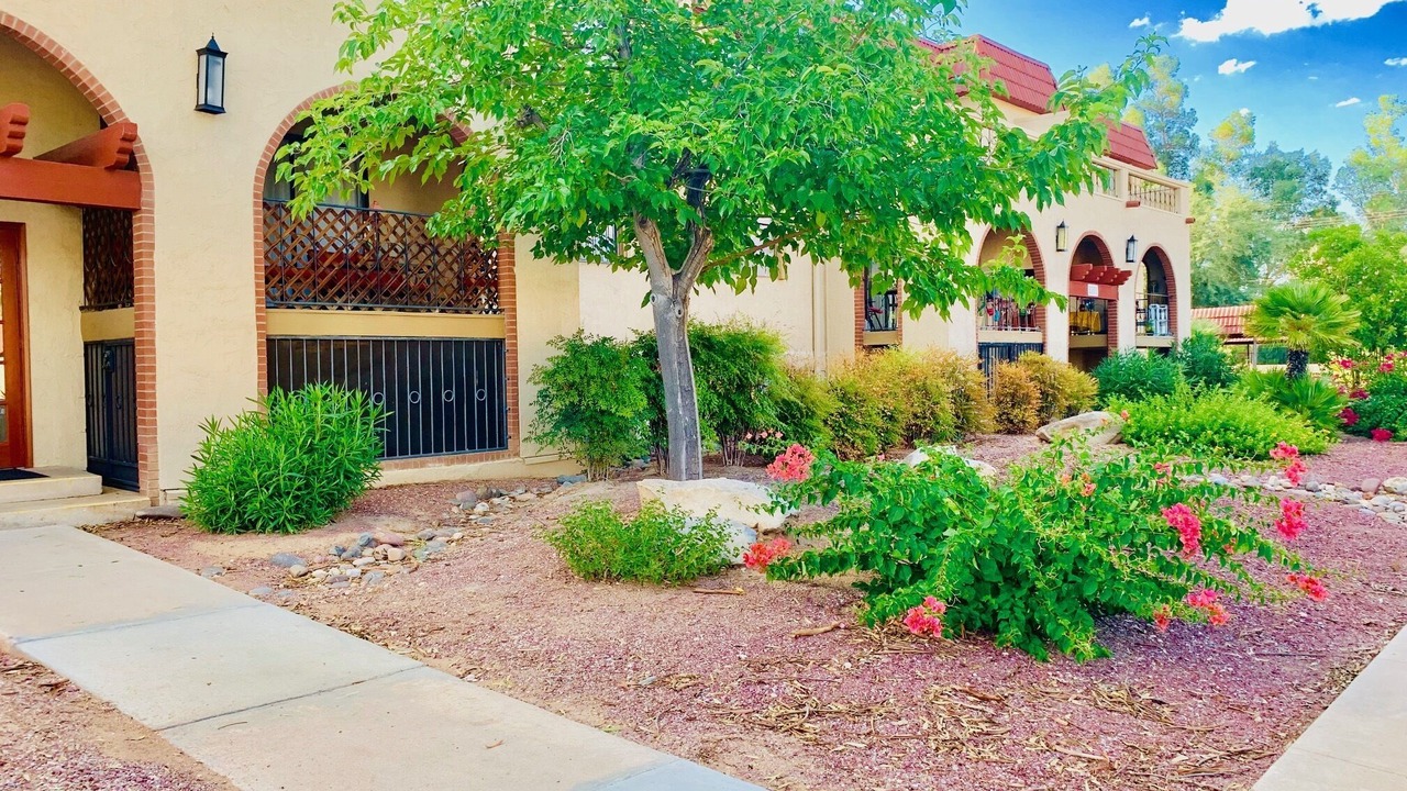 Photo of Outdoor in Casas Adobes
