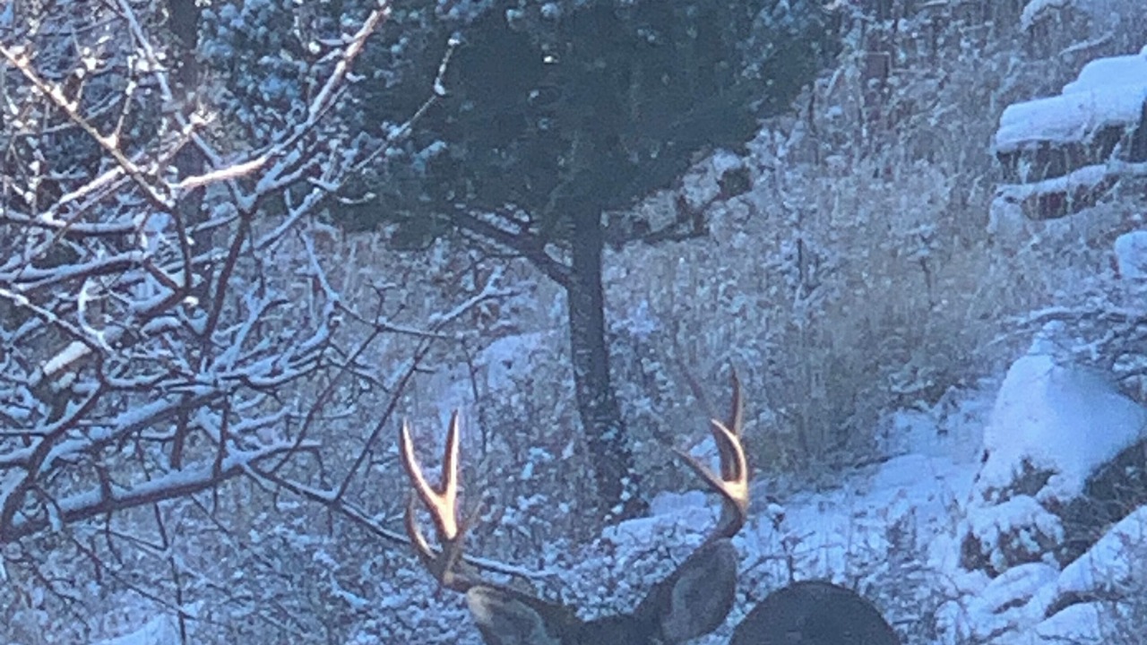 Photo of Outdoor in Ruidoso