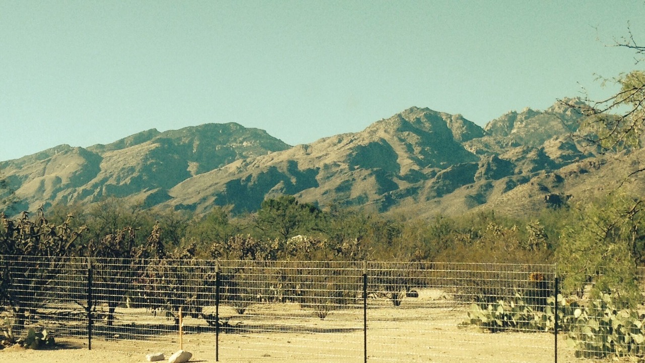 Photo of Others in Tanque Verde