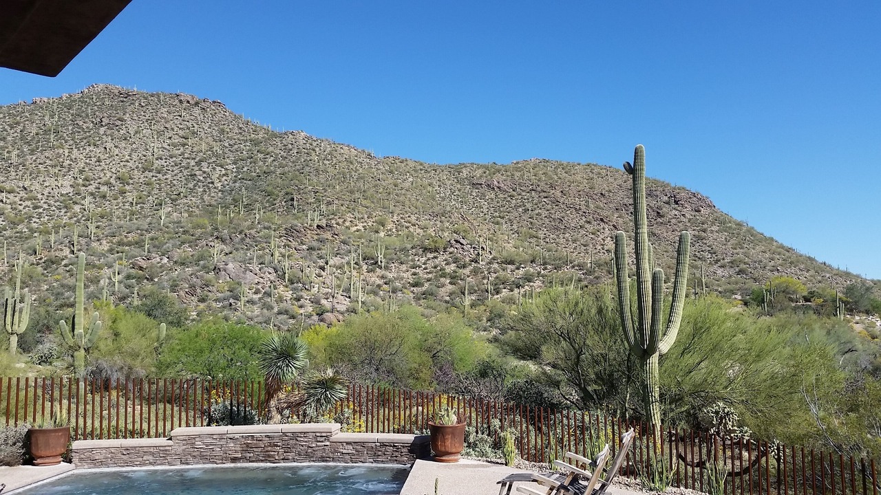Photo of Others in Dove Mountain