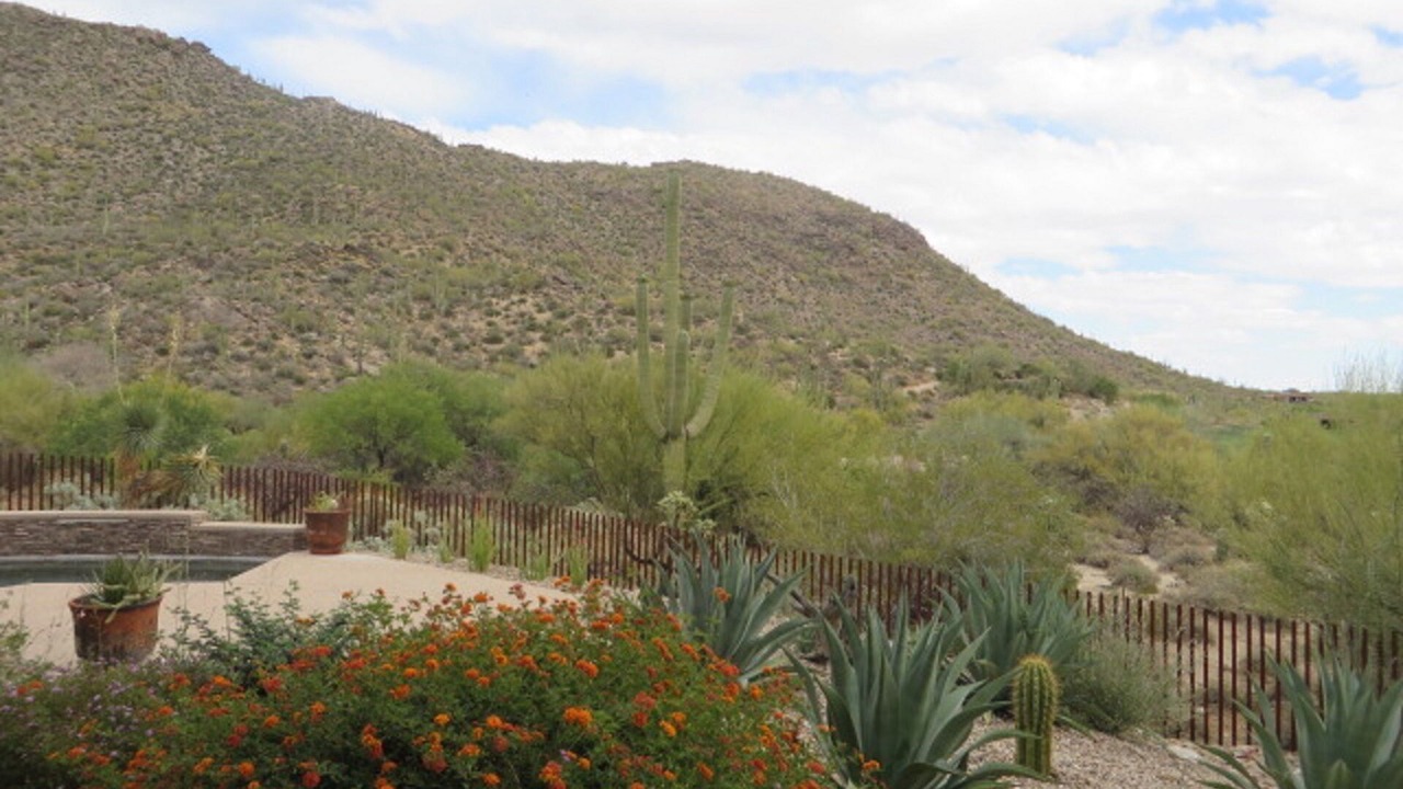 Photo of Others in Dove Mountain