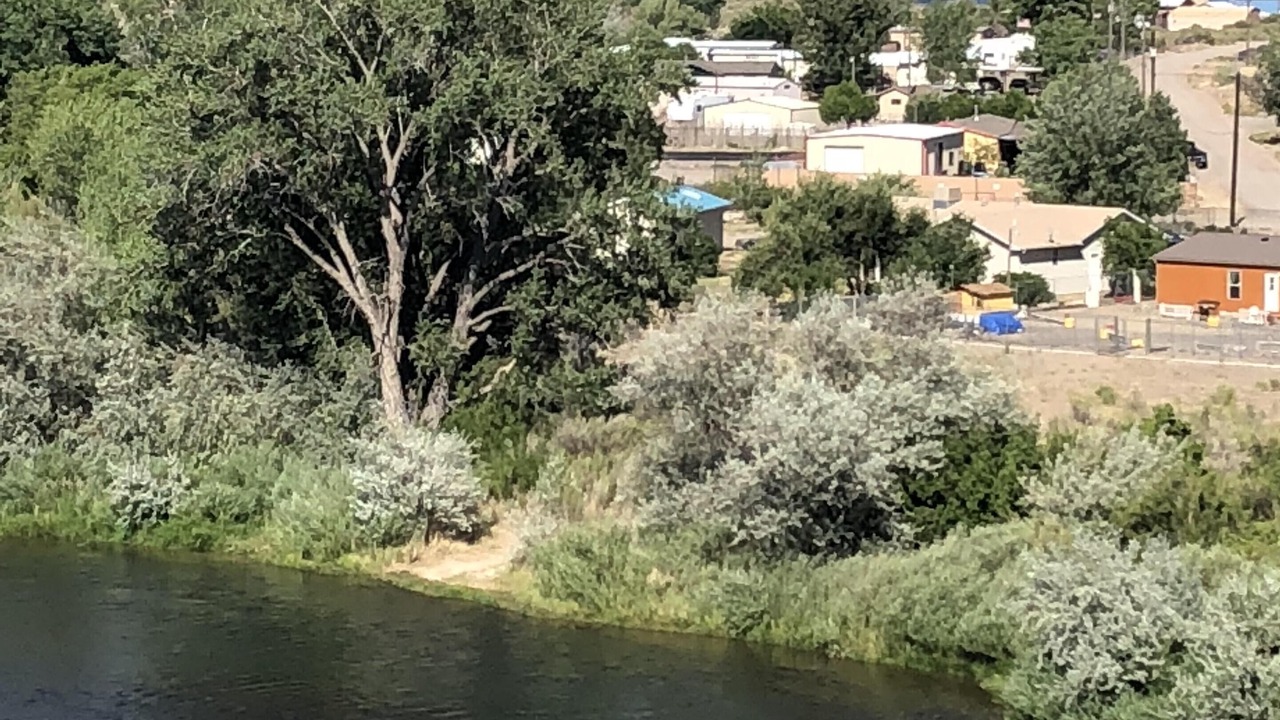 Photo of Others in Navajo Dam