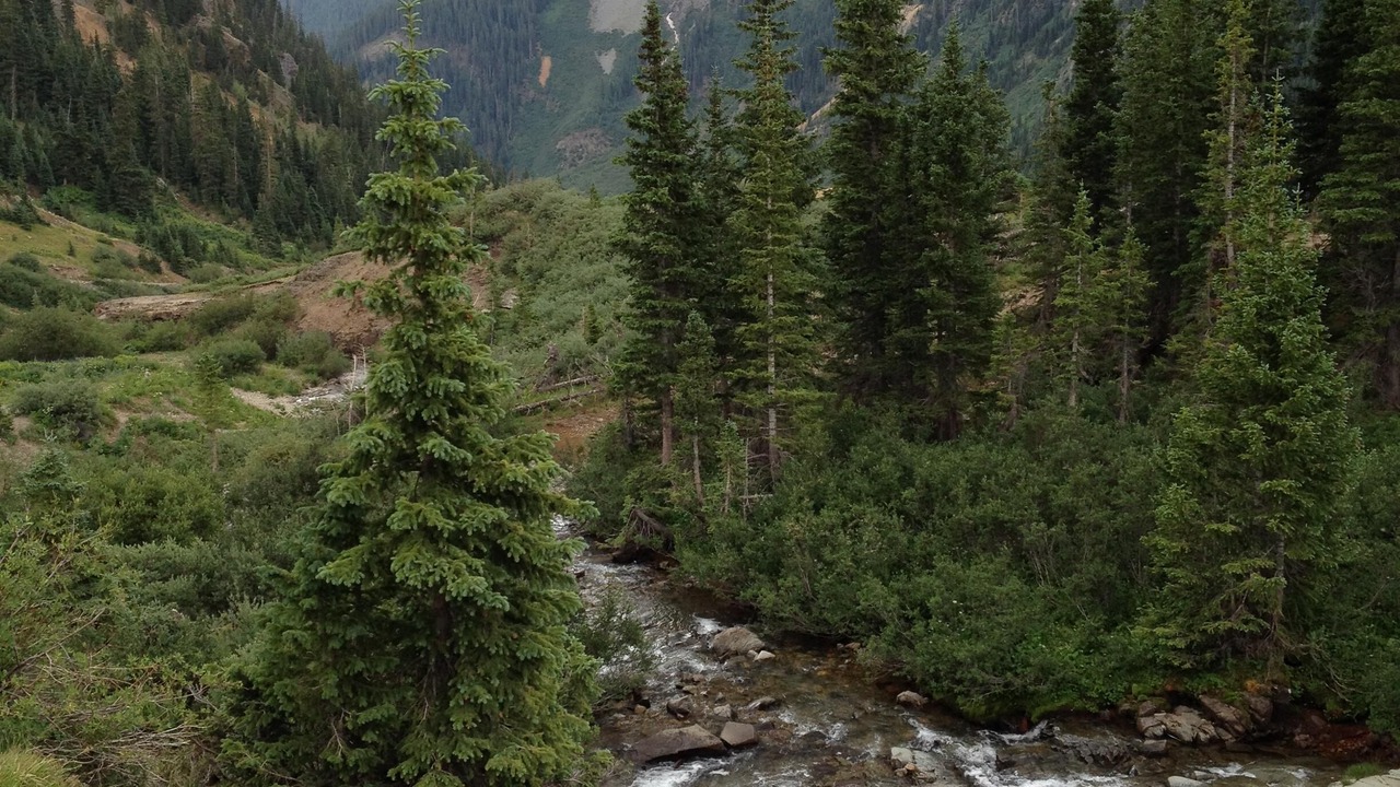 Photo of Others in Ouray