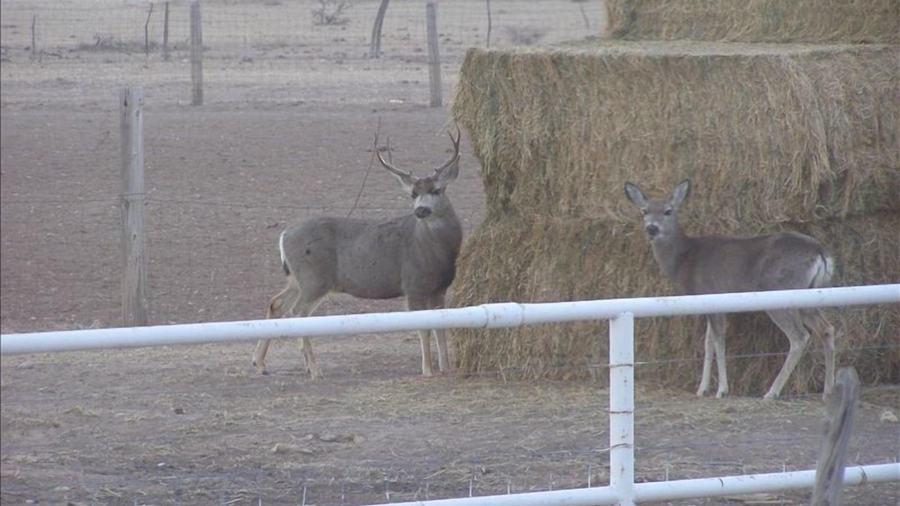 Photo of Others in Hagerman