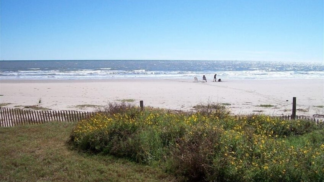 Photo of Others in Galveston