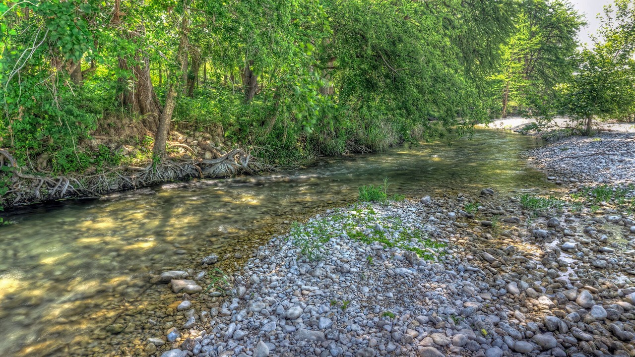 Photo of Others in Rio Frio