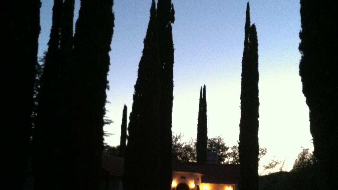 Photo of Outdoor in Faywood