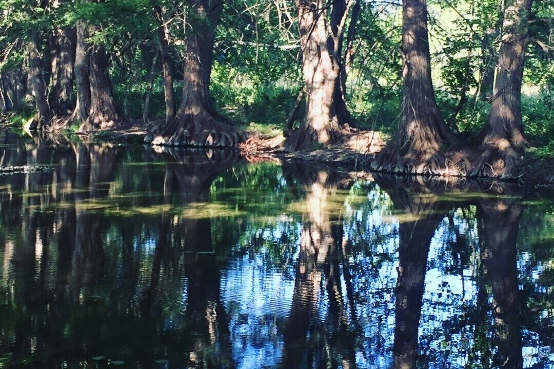 Photo of Others in Leakey