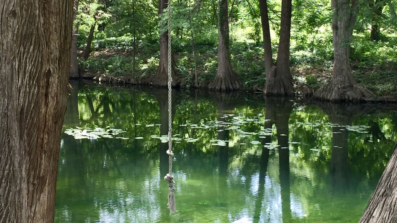 Photo of Others in Leakey