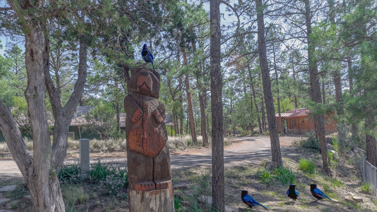 Photo of Others in Ruidoso