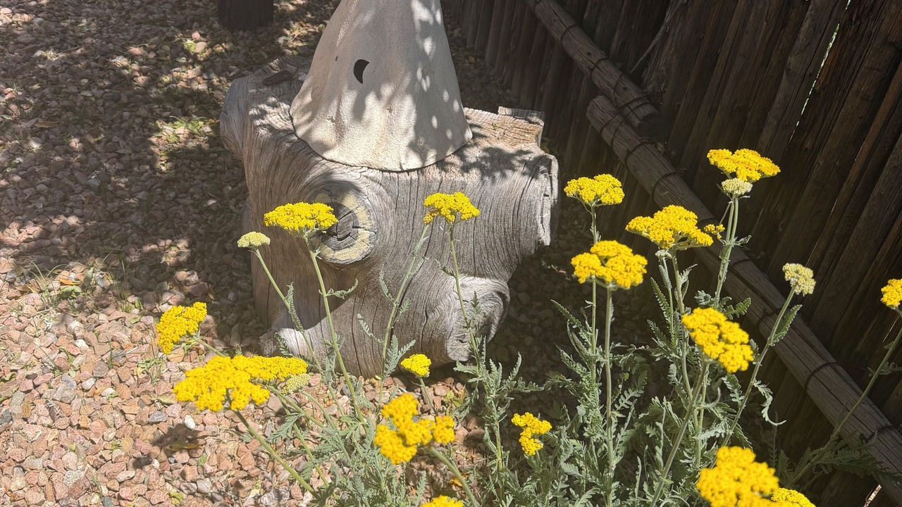 Photo of Others in Santa Fe